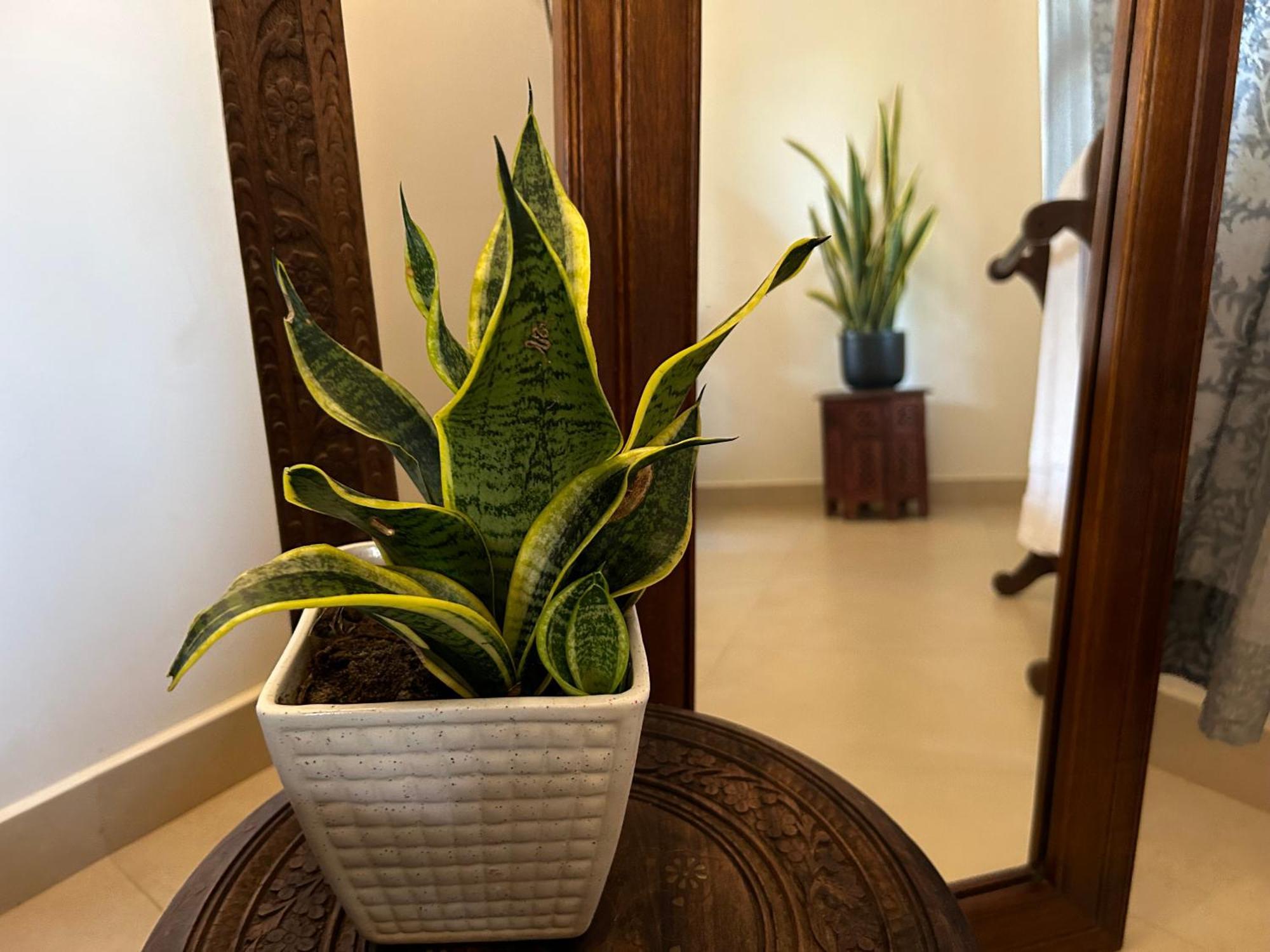 Santa Maria, Trivandrum - An Airport Boutique By The Sea Bed and Breakfast Thiruvananthapuram Eksteriør billede