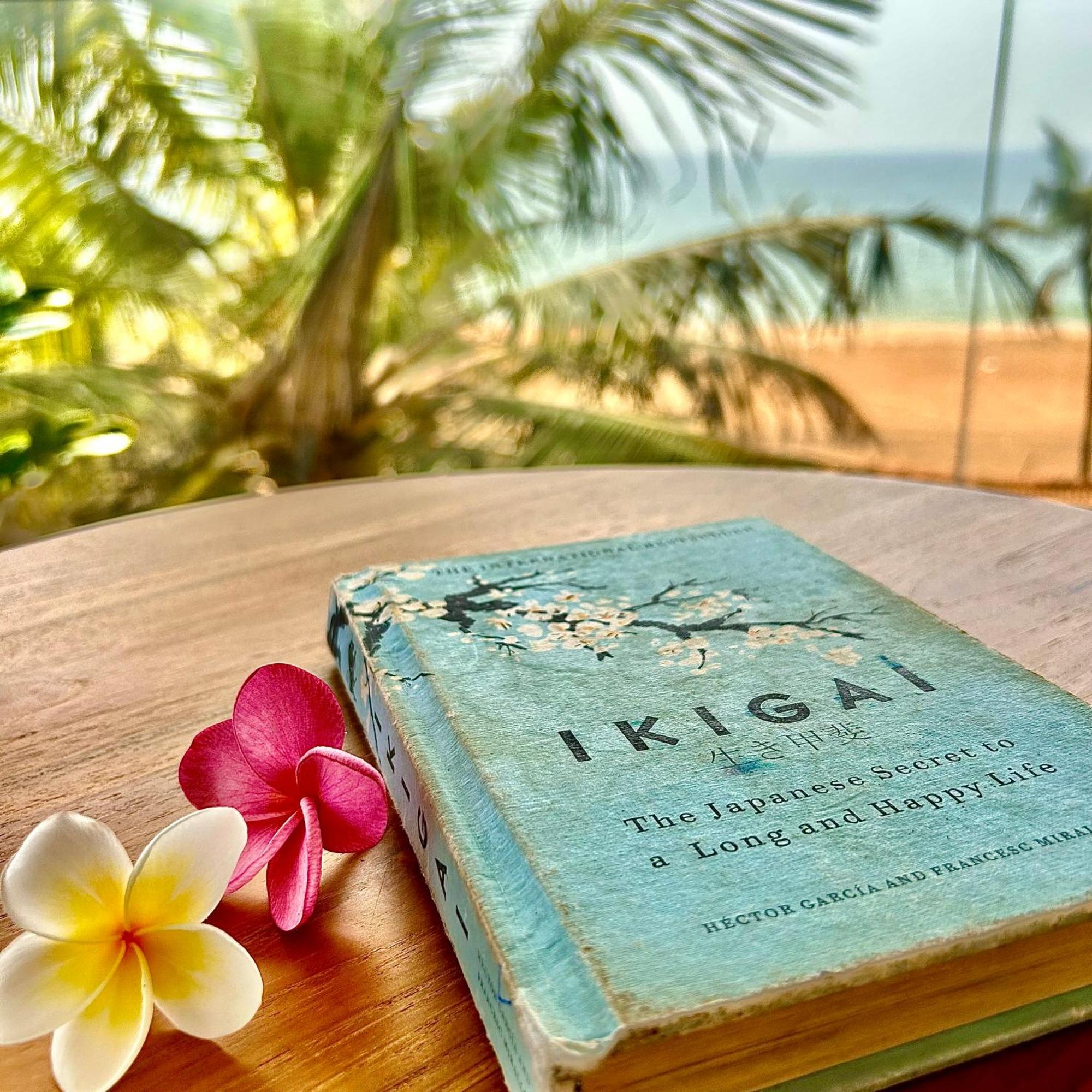 Santa Maria, Trivandrum - An Airport Boutique By The Sea Bed and Breakfast Thiruvananthapuram Eksteriør billede