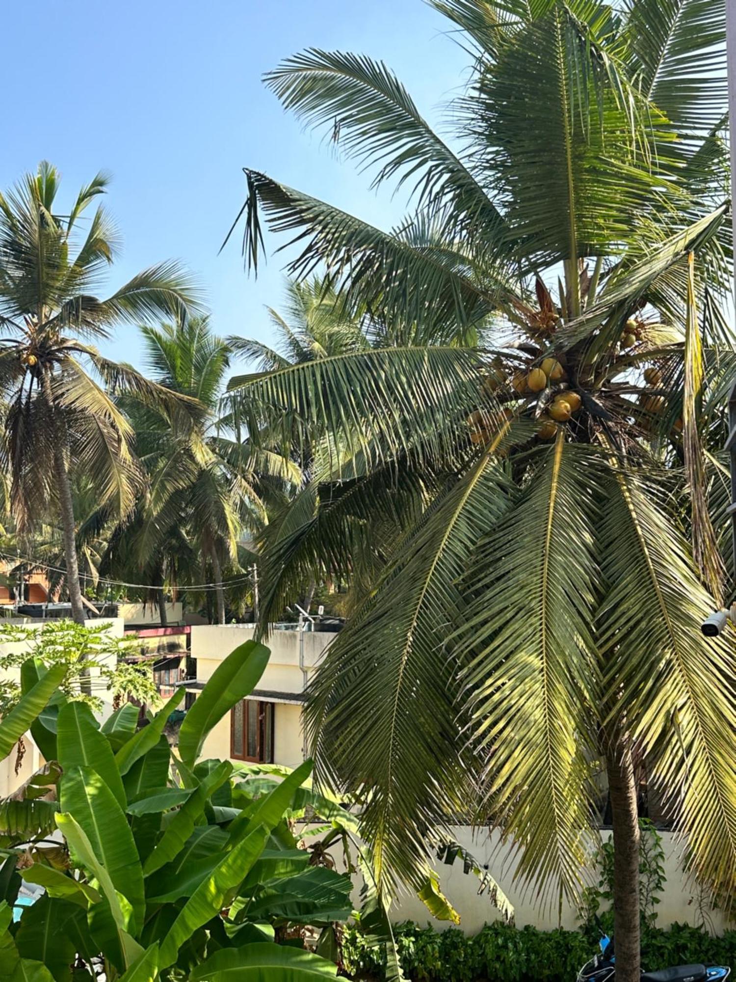 Santa Maria, Trivandrum - An Airport Boutique By The Sea Bed and Breakfast Thiruvananthapuram Eksteriør billede