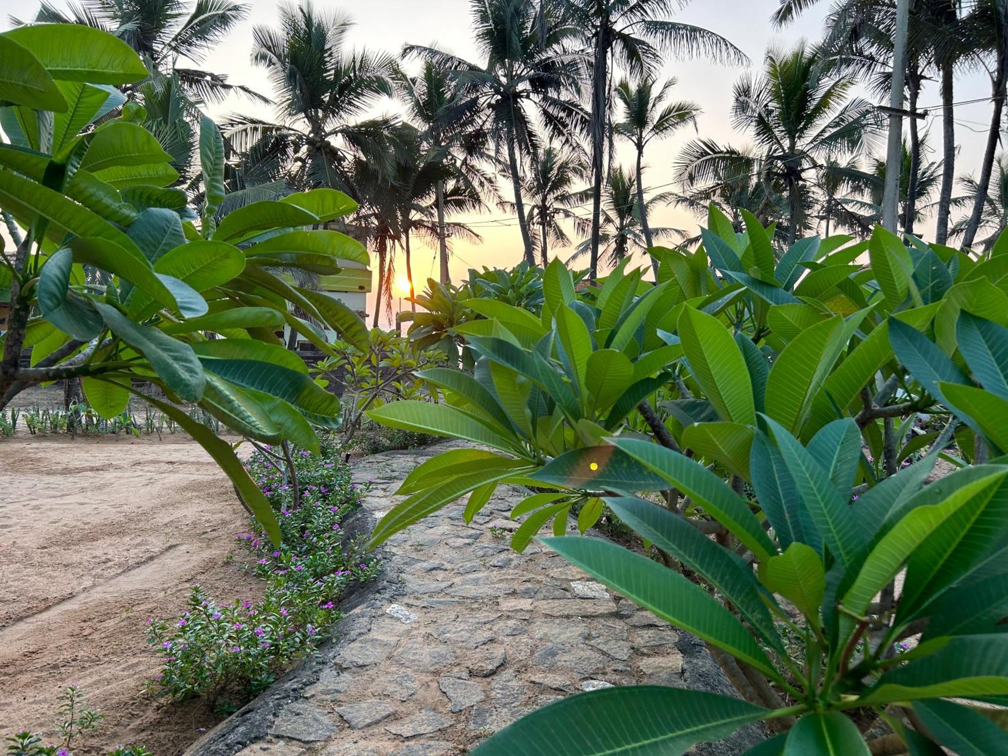 Santa Maria, Trivandrum - An Airport Boutique By The Sea Bed and Breakfast Thiruvananthapuram Eksteriør billede