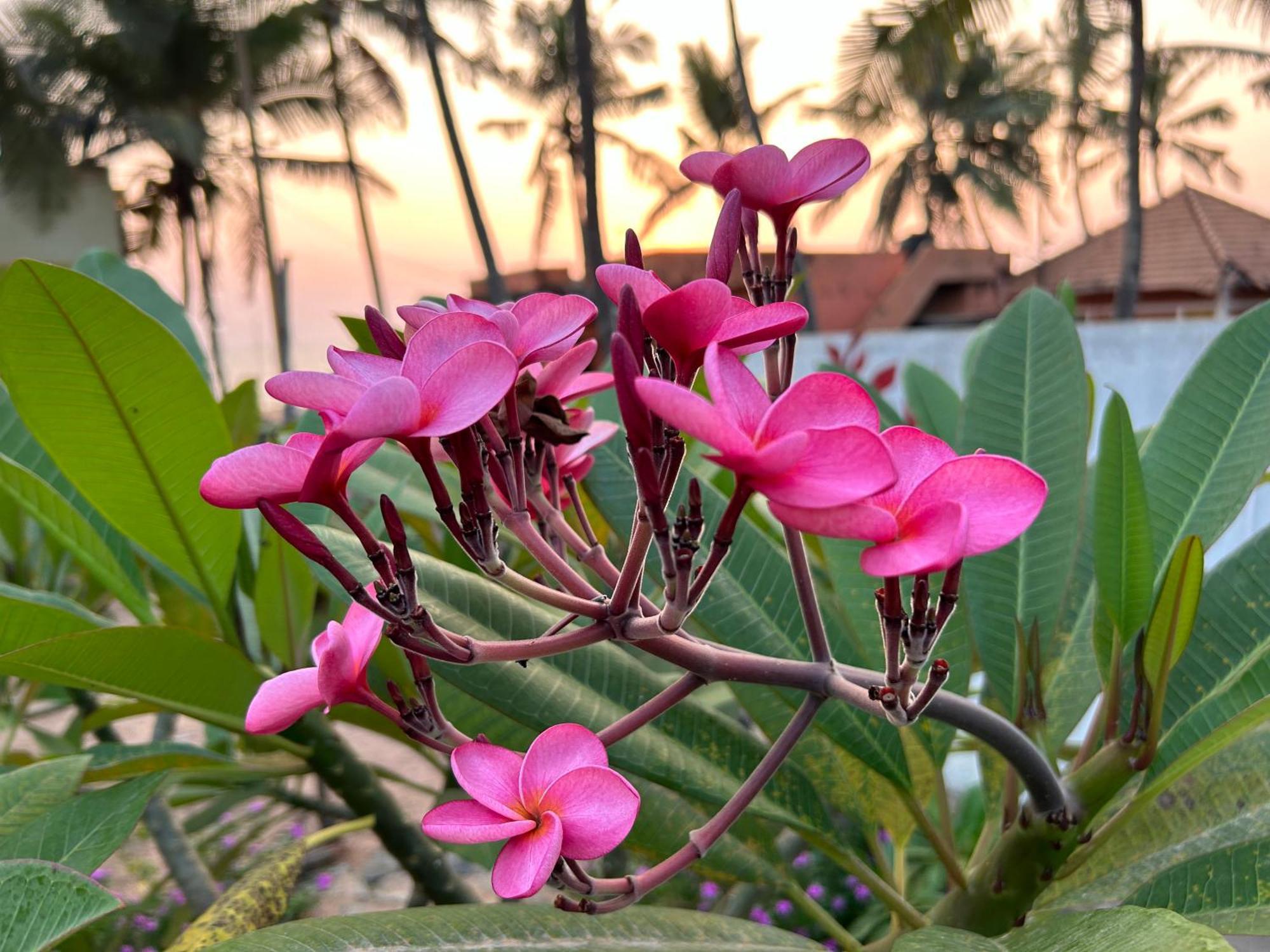 Santa Maria, Trivandrum - An Airport Boutique By The Sea Bed and Breakfast Thiruvananthapuram Eksteriør billede